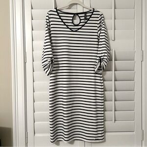 NWOT Saint James Dress